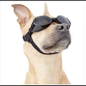 Meet your Posher, Shane